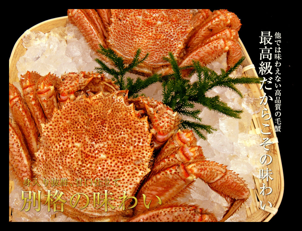 毛ガニ 北海道産 特大サイズ 極上 蟹味噌たっぷり ボイル済み 天然 毛蟹 約700g×1尾