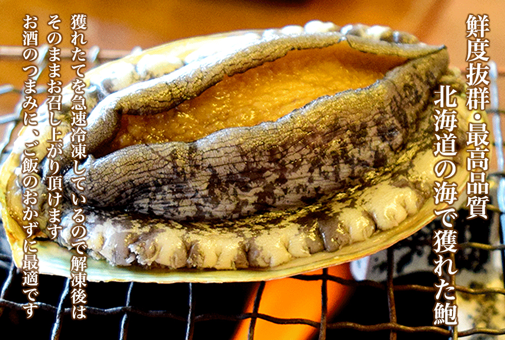 アワビ 刺身 特選 北海道の高級食材 あわび 生冷 貝付 鮑 60g 海産物通販の海夢